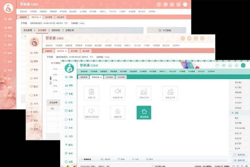 服裝店軟件管理榮昌管家婆服裝門店管理系統(tǒng)